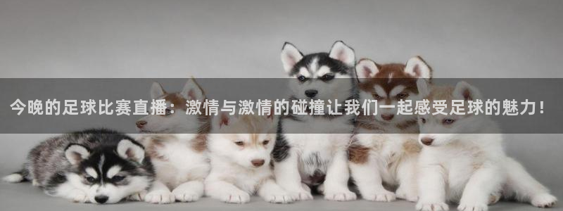 今晚的足球比赛直播：激情与激情的碰撞让我们一起感受足球的魅力