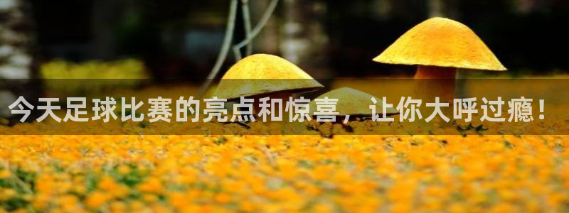  今天足球比赛的亮点和惊喜，让你大呼过瘾！