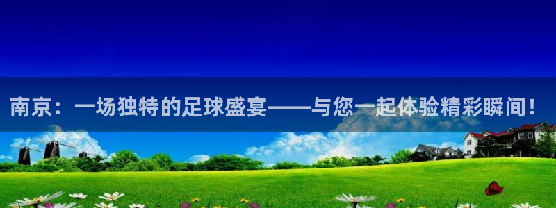 南京：一场独特的足球盛宴——与您一起体验精彩瞬间！