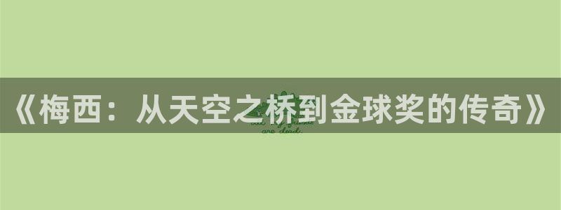 《梅西：从天空之桥到金球奖的传奇》
