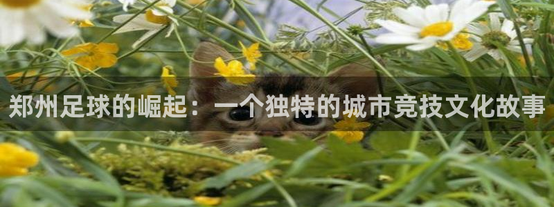  郑州足球的崛起：一个独特的城市竞技文化故事