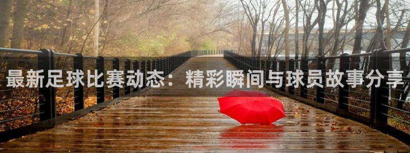  最新足球比赛动态：精彩瞬间与球员故事分享