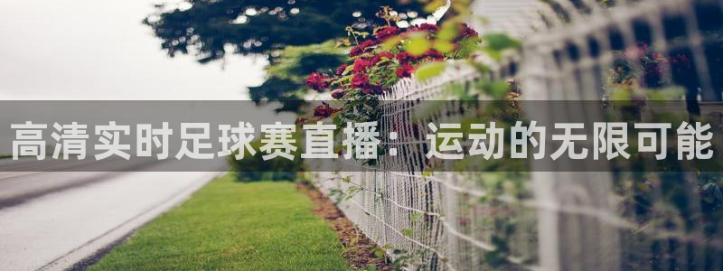 高清实时足球赛直播：运动的无限可能