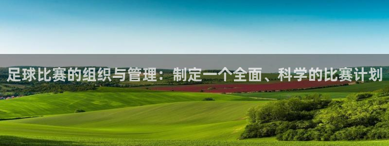  足球比赛的组织与管理：制定一个全面、科学的比赛计划