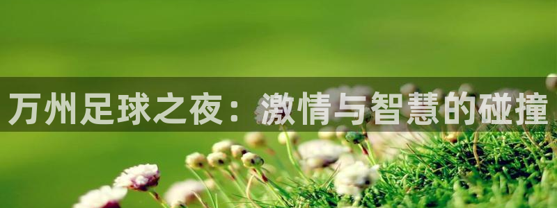 万州足球之夜：激情与智慧的碰撞