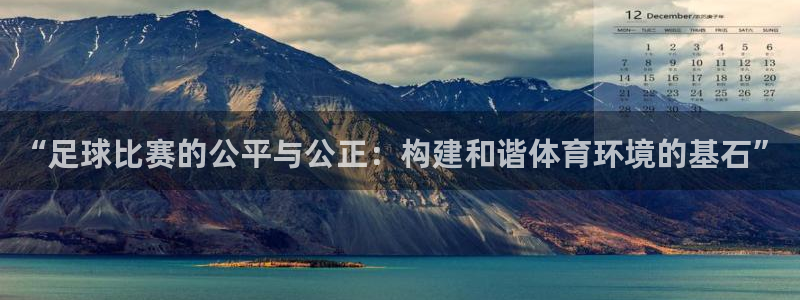 “足球比赛的公平与公正：构建和谐体育环境的基石”