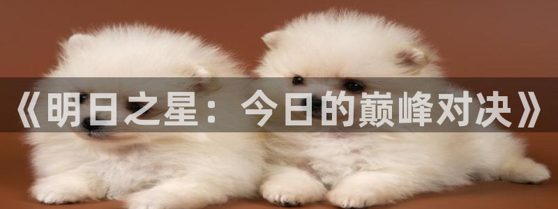 《明日之星：今日的巅峰对决》