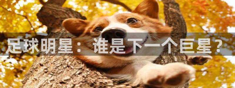 足球明星：谁是下一个巨星？