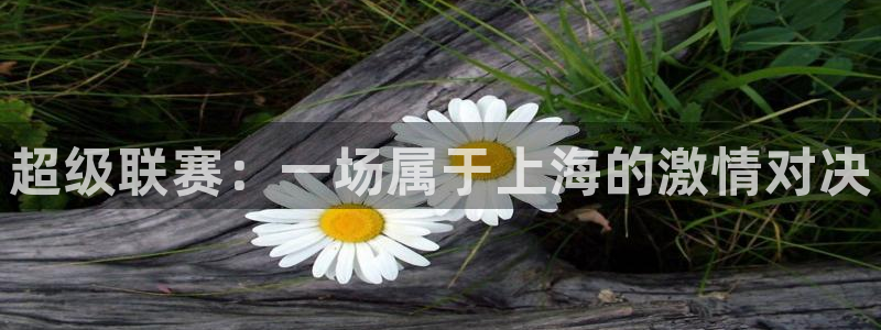 超级联赛：一场属于上海的激情对决