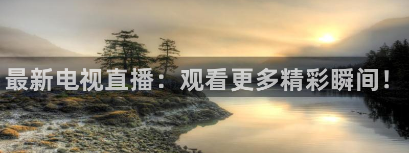 833直播足球比赛在线观看：最新电视直播：观看更多精彩瞬间！