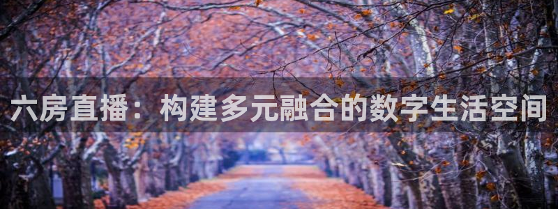 833直播足球：六房直播：构建多元融合的数字生活空间