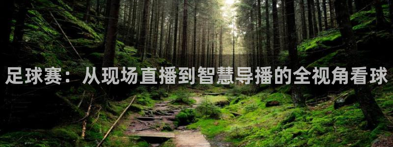 足球赛：从现场直播到智慧导播的全视角看球