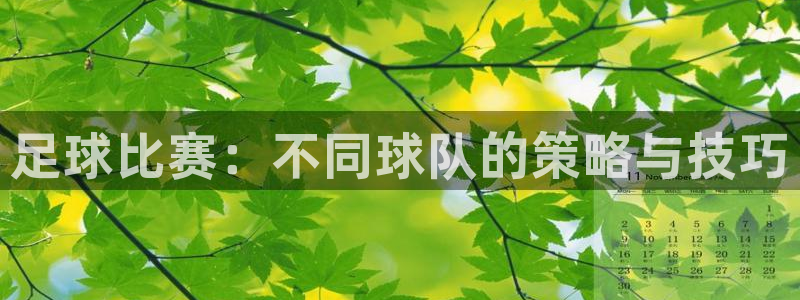  足球比赛：不同球队的策略与技巧