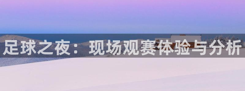 足球之夜：现场观赛体验与分析