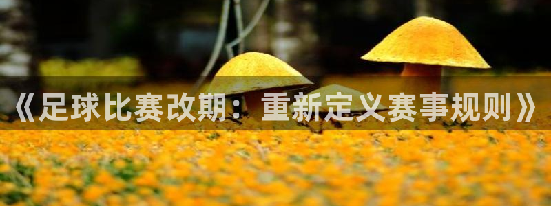《足球比赛改期：重新定义赛事规则》
