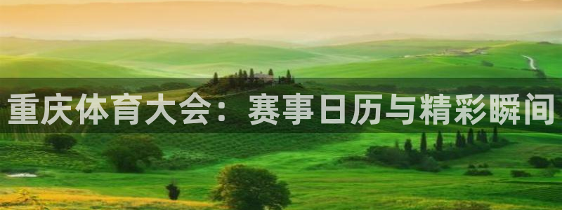 重庆体育大会：赛事日历与精彩瞬间