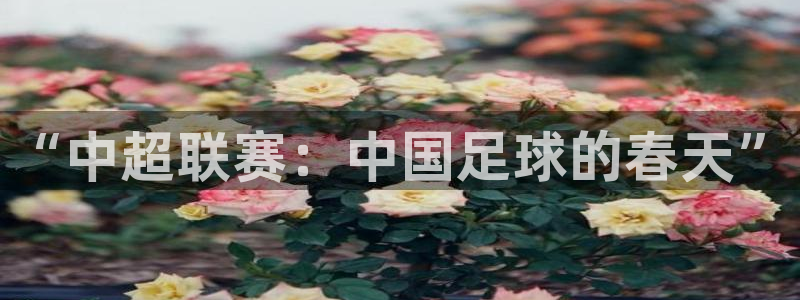 “中超联赛：中国足球的春天”