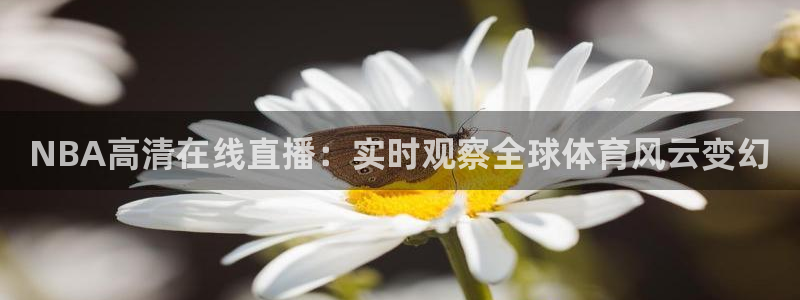 833足球比赛直播高清：NBA高清在线直播：实时观察全球体育风云变幻