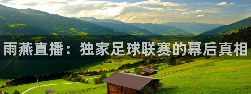 833直播nba免费观看高清直播：雨燕直播：独家足球联赛的幕后真相