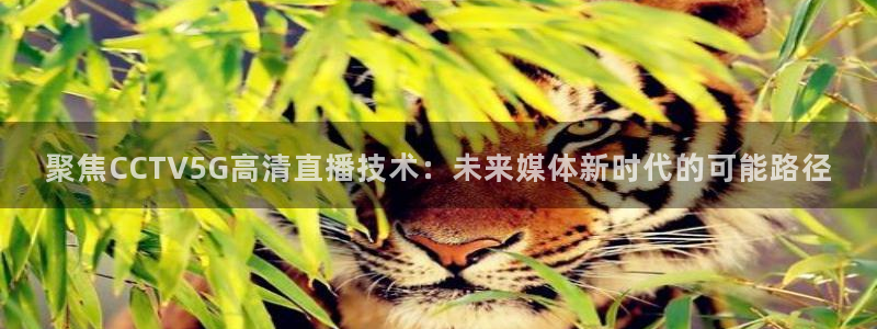 833体育直播观看：聚焦CCTV5G高清直播技术：未来媒体新时代的可能路径
