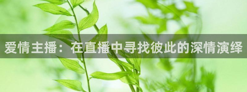 833足球免费直播：爱情主播：在直播中寻找彼此的深情演绎