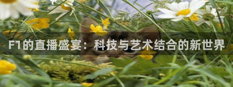 3833tv直播nba免看：F1的直播盛宴：科技与艺术结合的新世界