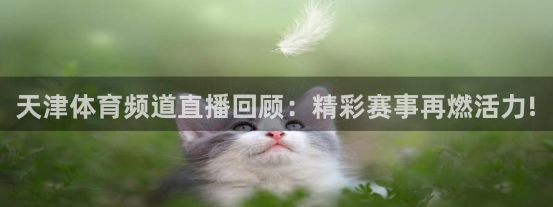 833赛事直播：天津体育频道直播回顾：精彩赛事再燃活力!